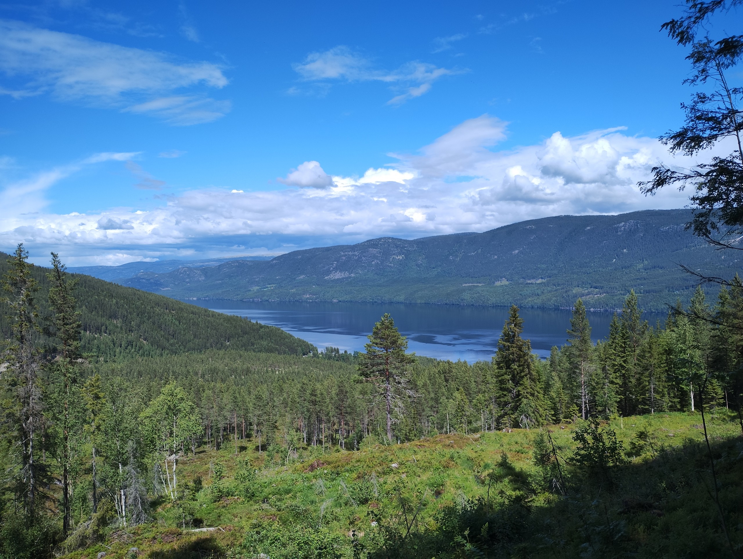 Vista de Lia Gard durante as caminhadas